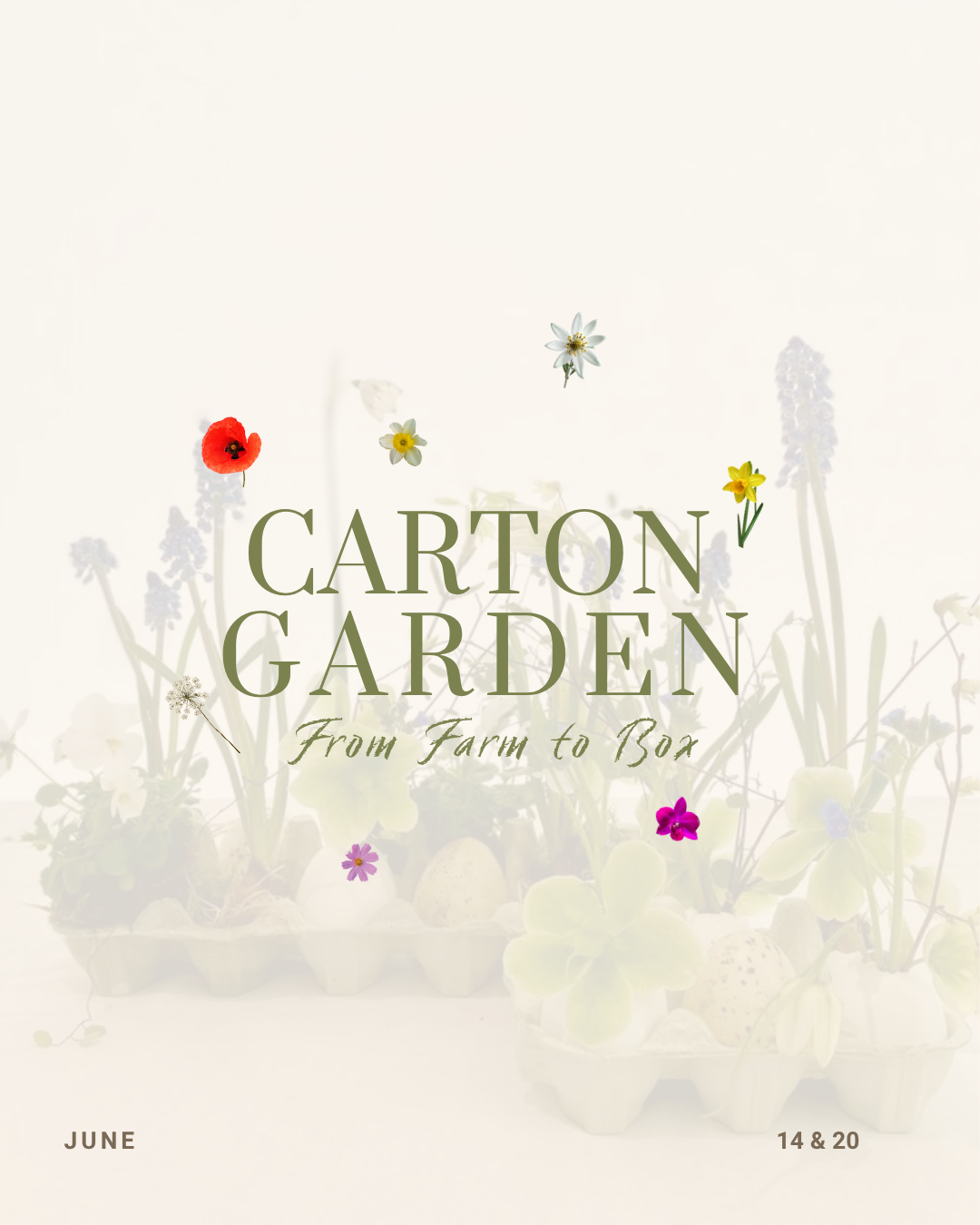 Carton Garden | From Farm to Box