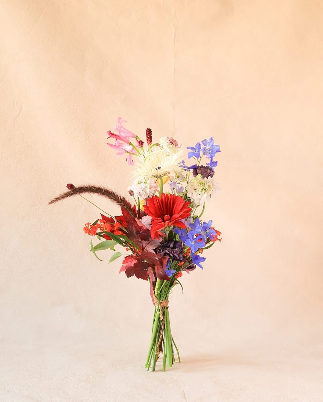 Introductory - First Taste of the Bloom Series