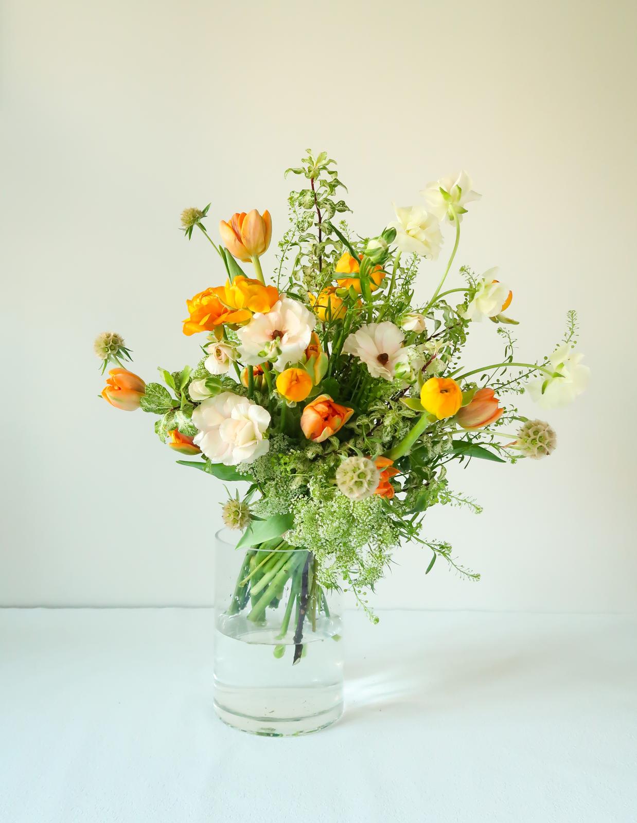 Bloom Series | 3-Class Package